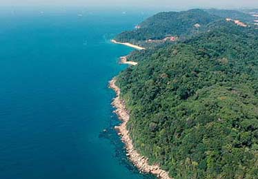 深度分析：梅西在美职联的商业价值到底有多大？开云官网曝光其隐形成交额。